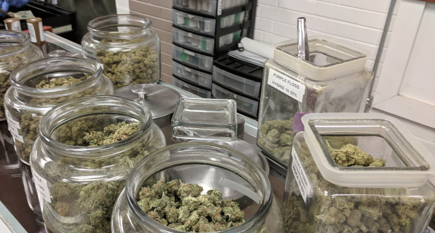 Marihuana jednak nie jest przepustką do twardych narkotyków