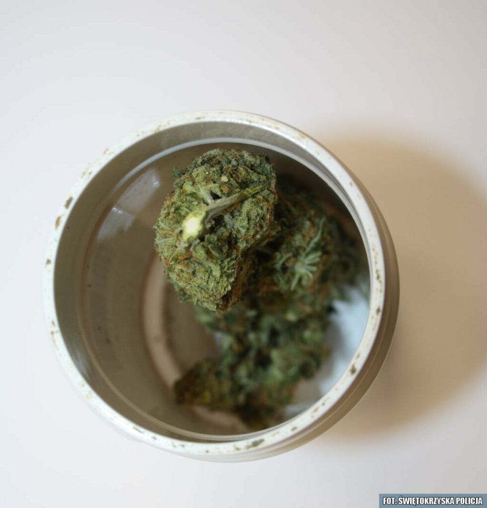 marihuana w odkręconym słoiczku