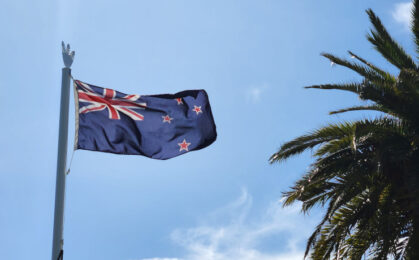 flaga nowej zelandii przy palmie